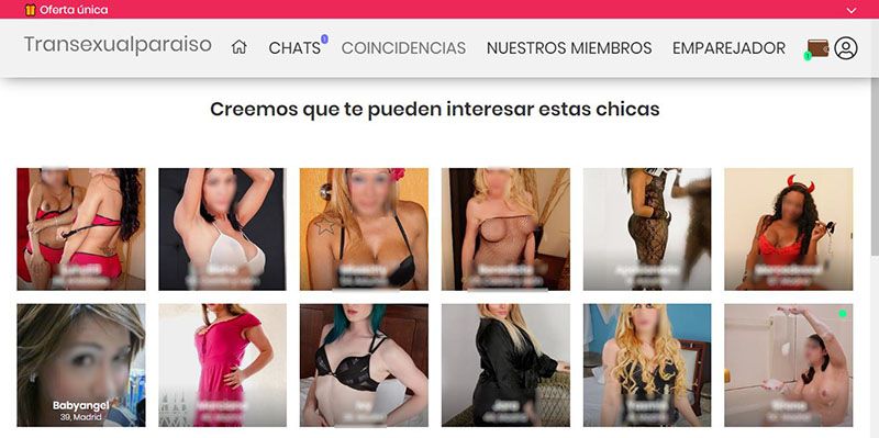 Explora TransexualParaiso: citas con filtros de género, edad, fotos y usuarios en línea. Búsquedas regionales, chats privados y regalos virtuales.